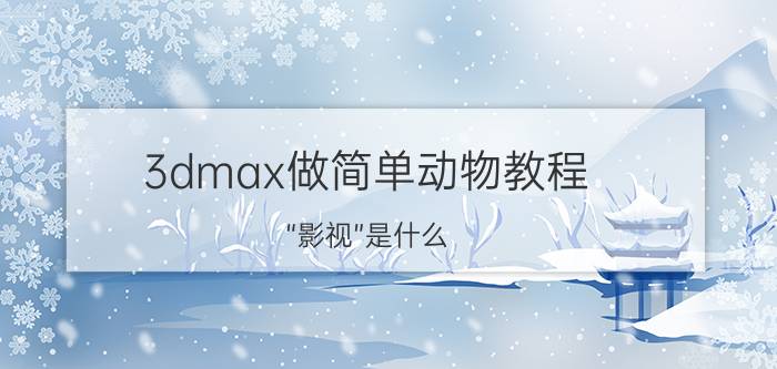 3dmax做简单动物教程 “影视”是什么？